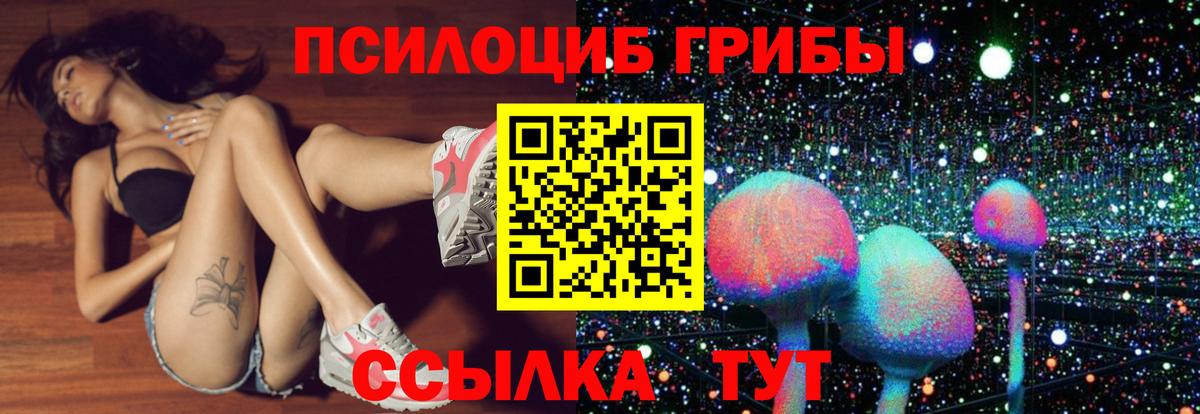 Ефремов  Псилоцибиновые грибы прущие грибы  Вход с VPN 